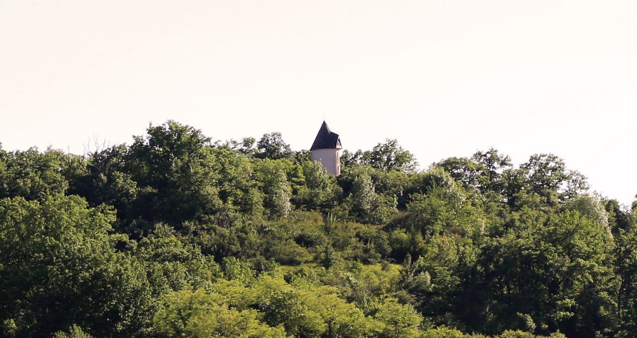 فيلا Moulin De Rouze Castelnaud-de-Gratecambe المظهر الخارجي الصورة